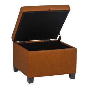 Latitude Run® Jaaden Vegan Leather Storage Ottoman | Wayfair